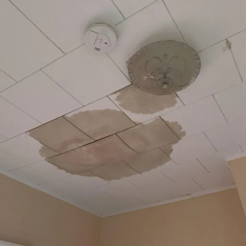 Ceiling Water Damage Repair in Kings Park, VA